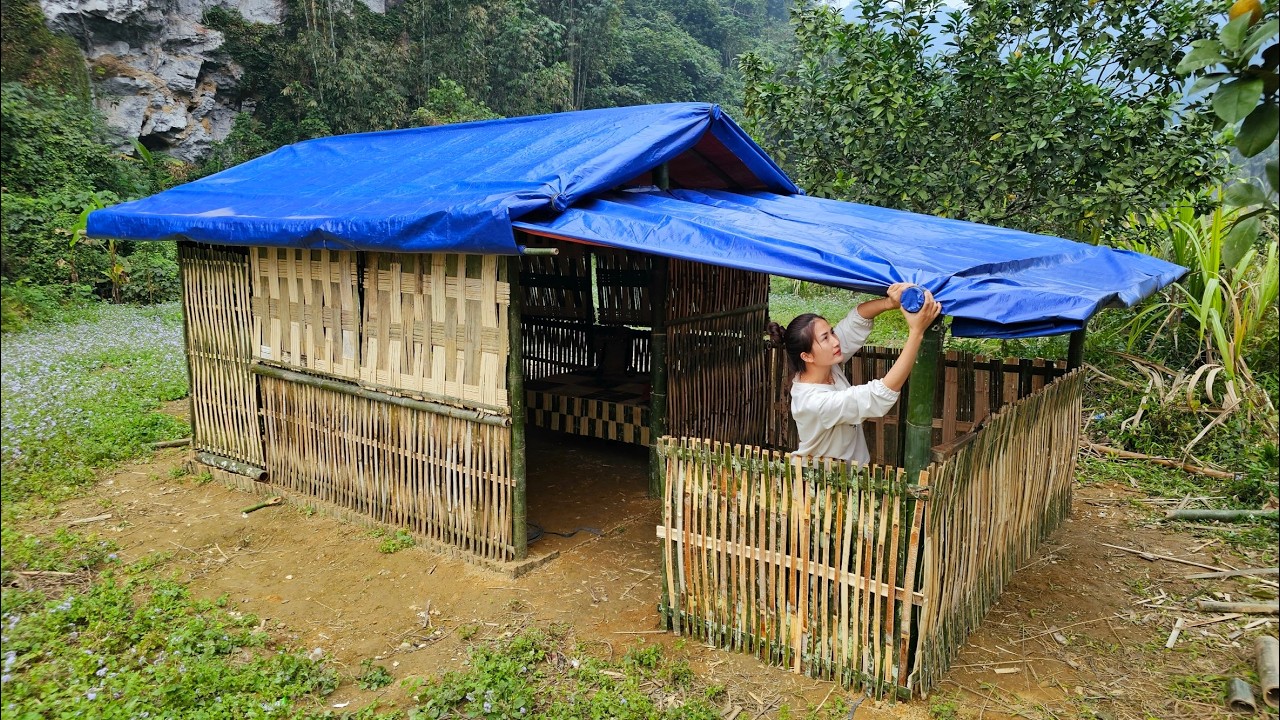 260 days to build a new home in the wilderness with the help of a kind police officer: a new life