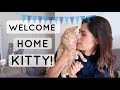 ADOPTING OUR NEW KITTEN FROM ITALY!