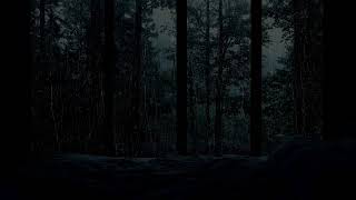 Tranquil Rainfall || 3 Hours for Study, Deep Sleep and Relaxing Night Ambiance screenshot 3