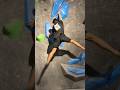 Intended beta VS skip! Which one is cooler? #bouldering #climbing #dyno