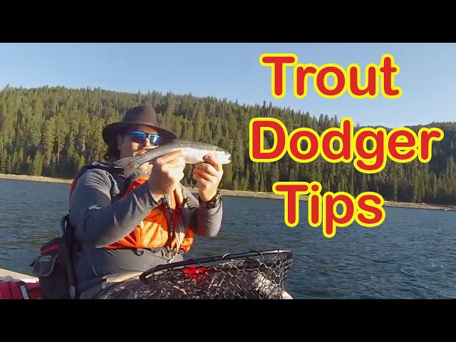 Dodger Strategy For Trout Trolling 