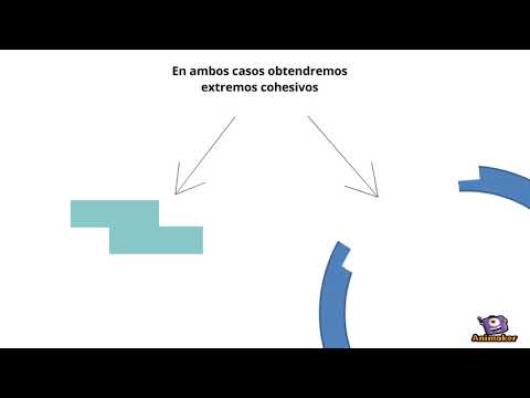 Video: ¿Cómo se inserta un gen en un plásmido?