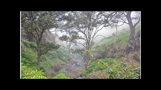 Hawaii Just Found A New Way To Fight Climate Change