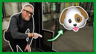 Anlin Sliding Door Review | With Optional In-Glass Doggy-Door