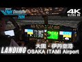 【MSFS2024】大阪の絶景夜景 伊丹空港ナイトランディング B737MAX8【Microsoft Flight Simulator 2024】4K