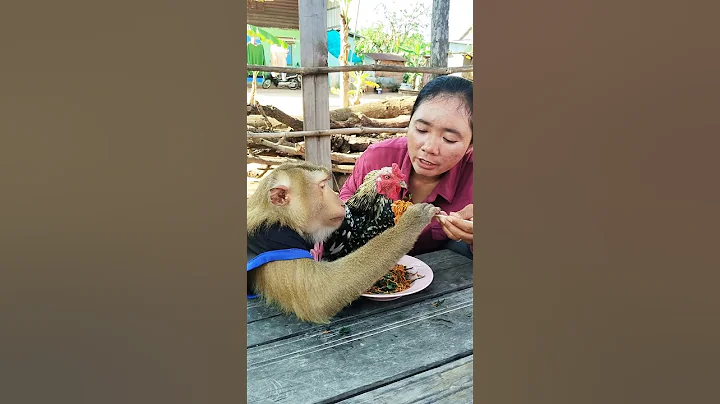 Great video Super SokYaa Very Adorable & Harmony Animals Around The World #shorts