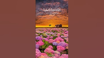 ووضع الكتاب فترى المجرمين مشفقين مما فيه ، #ارح_سمعك #تلاوة_خاشعة