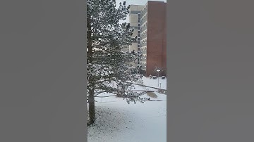 الثلج في المانيا . قرآن كريم