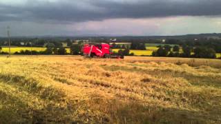Moisson d'orge 2012