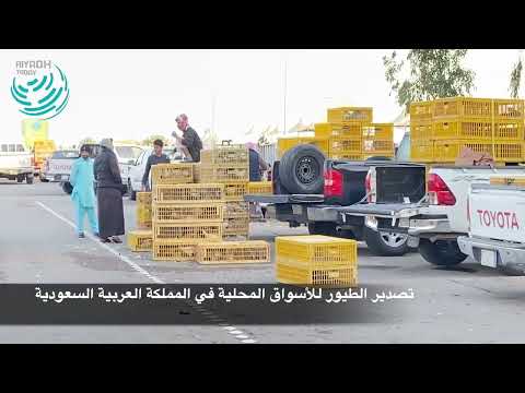 سوق الطيور بمدينة بريدة