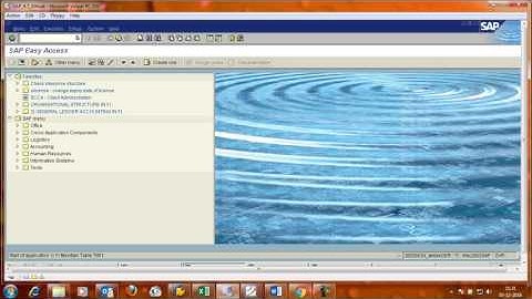 Assign Field Status Variant to Company Code in SAP FI module.