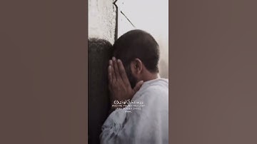 قران كريم|حالات واتساب"سورة الضحى" الايه(1-11) القارئ عمر محجوب♥️
