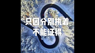 201511 只因分别执着不能证得21663