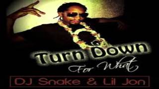 Lyrics - DJ Snake & Lil Jon - Turn Down for What