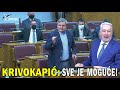 Krivokapića rešetali pitanjima u skupštini: O smeni Srbina, u Vladi CG, kada bude ...