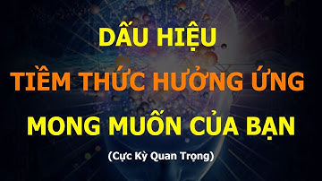 Dấu Hiệu Tiềm Thức Hưởng Ứng Mong Muốn Của Bạn (Cực Kỳ Quan Trong) I Sức Mạnh Tiềm Thức Luật Hấp Dẫn