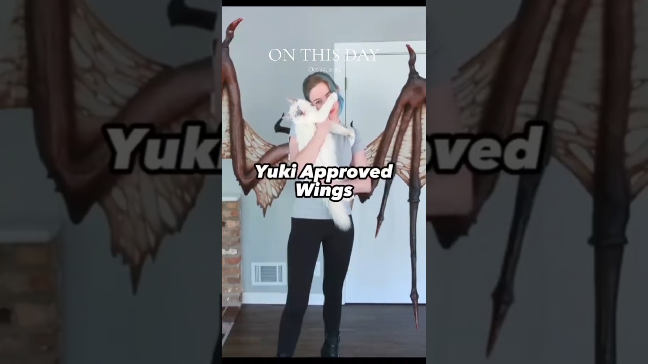 Cat approved Lilith Wings! #diablo #cosplay #cats