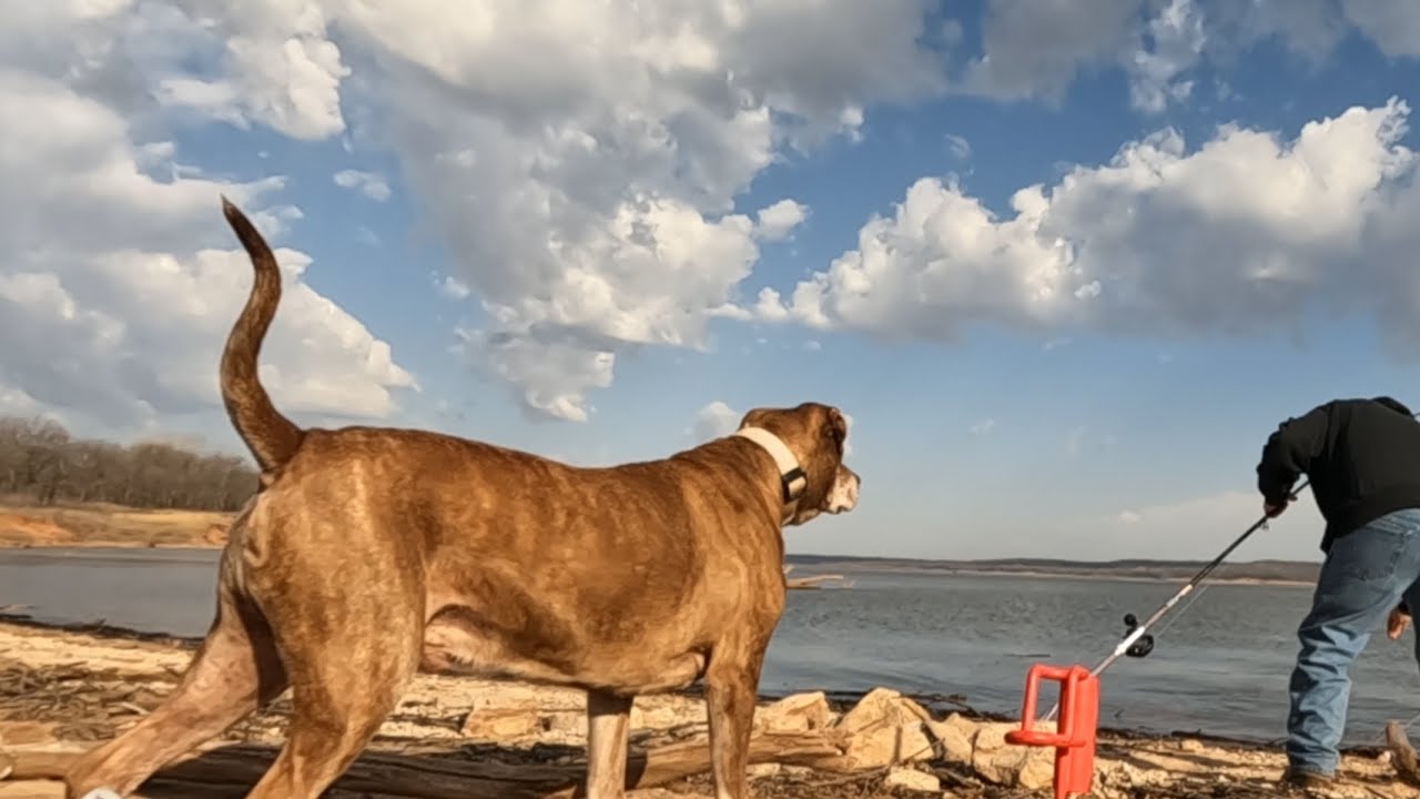 Fishing with the secret sauce! 