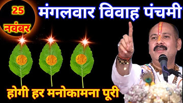 25 नवंबर मंगलवार विवाह पंचमी के दिन 5 तुलसी के पत्ते वाला उपाय जरुर करे || Pradeep Ji Mishra