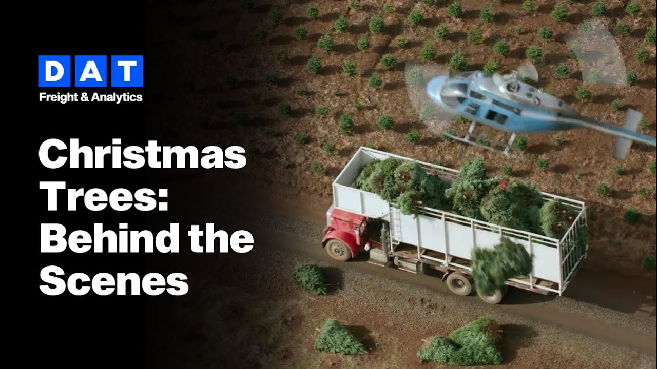 История логистики рождественских елок: данные, стоящие за предпраздничной суетой.