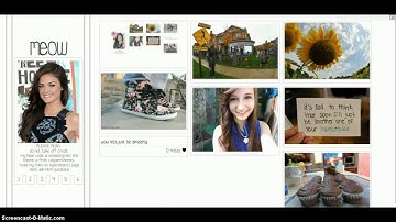 Tumblr tutorial 1: Changing your cursor