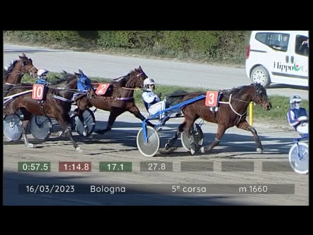 2023 03 16 | Corsa 5 | Metri 1660 | Premio Tiziana Rivale