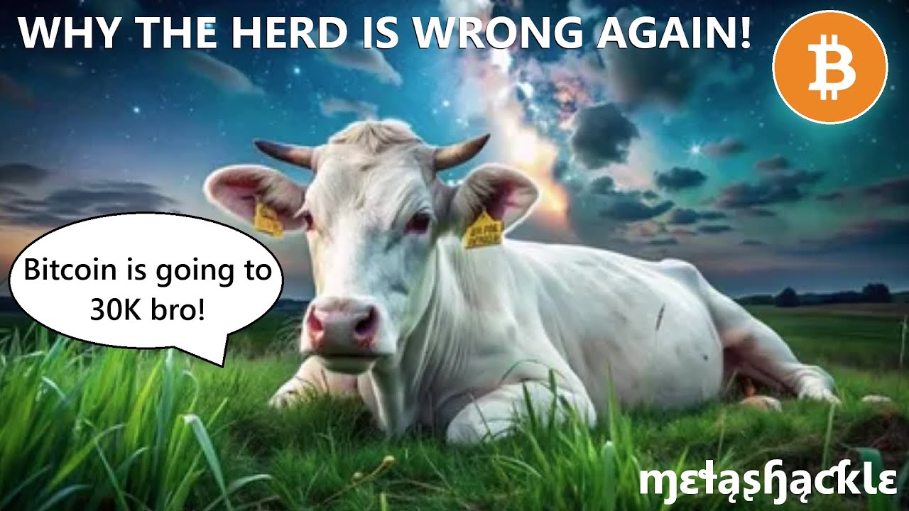 The Herd Is Wrong About 