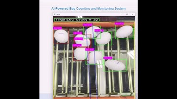 AI-Powered Egg Packing Total Counting System using Computer Vision