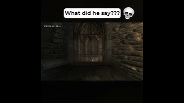 This Oblivion NPC is too real  #oblivion #glitch #elderscrolls #rpg #gaming