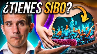 TODOS con SIBO: la misteriosa RAZÓN (sobrecrecimiento bacteriano)