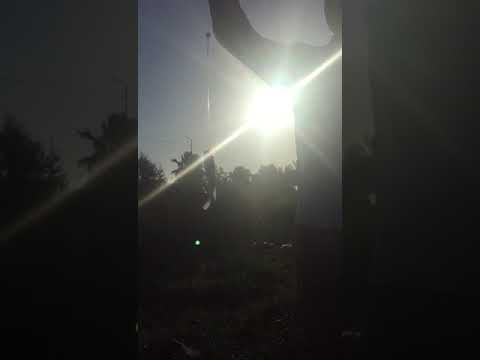 صيد الشروق من ملاحه دخله طريق أبيس 