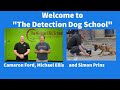 The detection dog school ford k9 michael ellis school and simon prins act