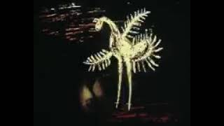 бескрылый гусенок советский мультфильм про чукотских сказок