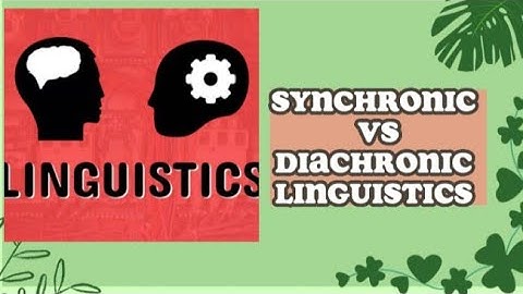 Difference between Synchronic and Diachronic Linguistics| Synchronic VS Diachronic| LearnwdAyesha