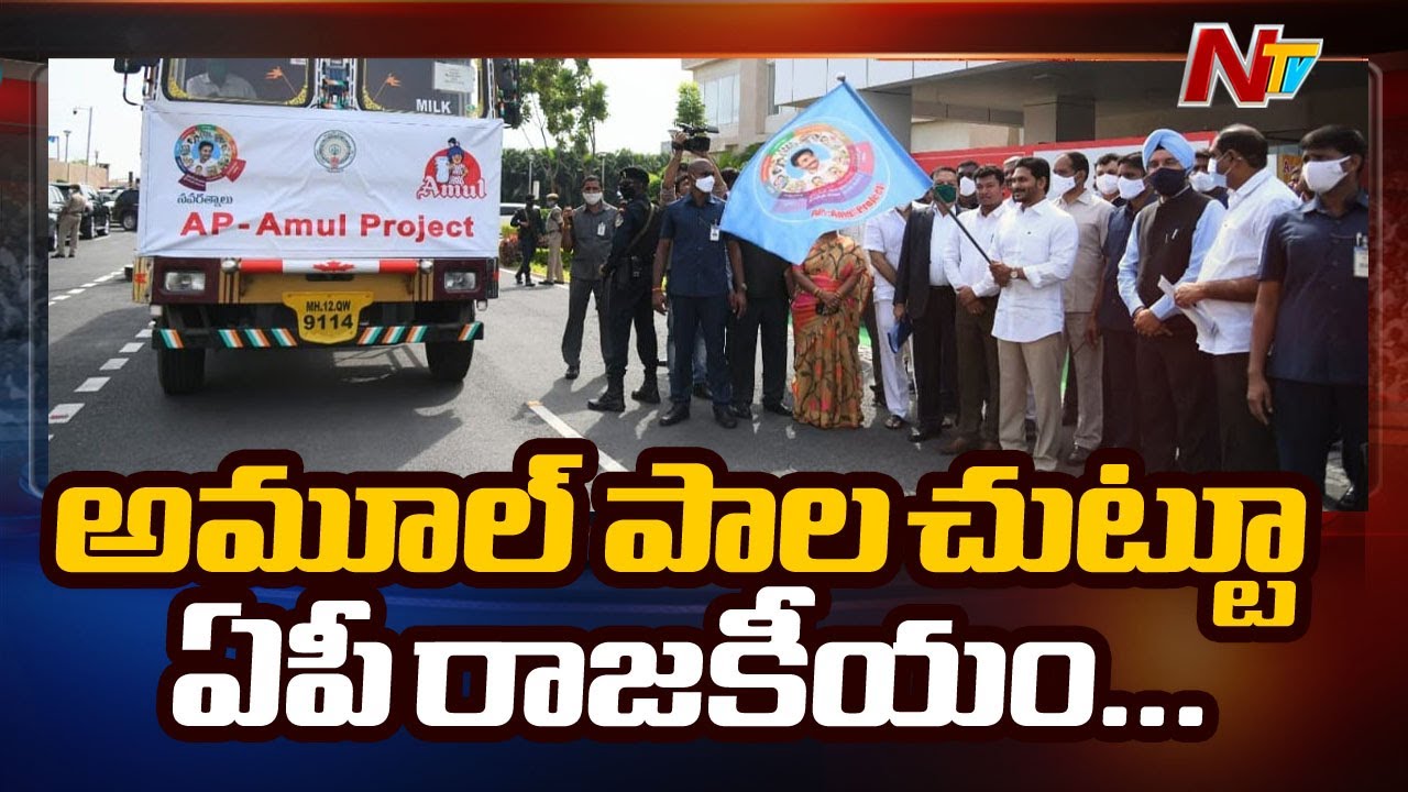 అమూల్ ప్రాజెక్టు చుట్టూ తిరుగుతున్న ఏపీ రాజకీయం | AP Politics Revolves Around  Amul Project | NTV