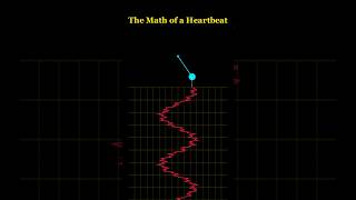The Secret Code of a Heartbeat 🫀 (Simple Harmonic Motion)