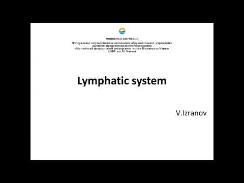 Lymphatic system