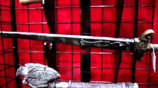 Halloween Expo 2012: High Quality Weapons - Part 2