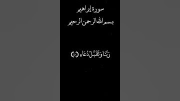 سورة ابراهيم بصوت الشيخ محمد المحيسني