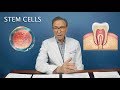 The Future of Stem Cells | Types, Applications, Grow Human Teeth!