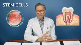 The Future of Stem Cells | Types, Applications, Grow Human Teeth!