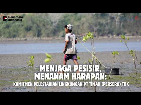 Menjaga Pesisir, Menanam Harapan: Komitmen Pelestarian Lingkungan PT TIMAH (Persero) Tbk
