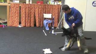 Michael Ellis: Puppy Bitework