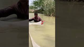 fishing fish 