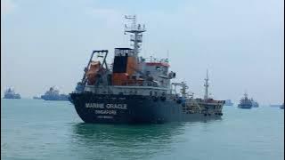 Exploring Bulk Carrier Flora: A Captivating Shipspotting Adventure at Sea KAPAL TANKER | BUNKER