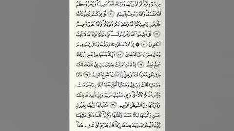 سورة آل عمران - الصفحة الخامسة