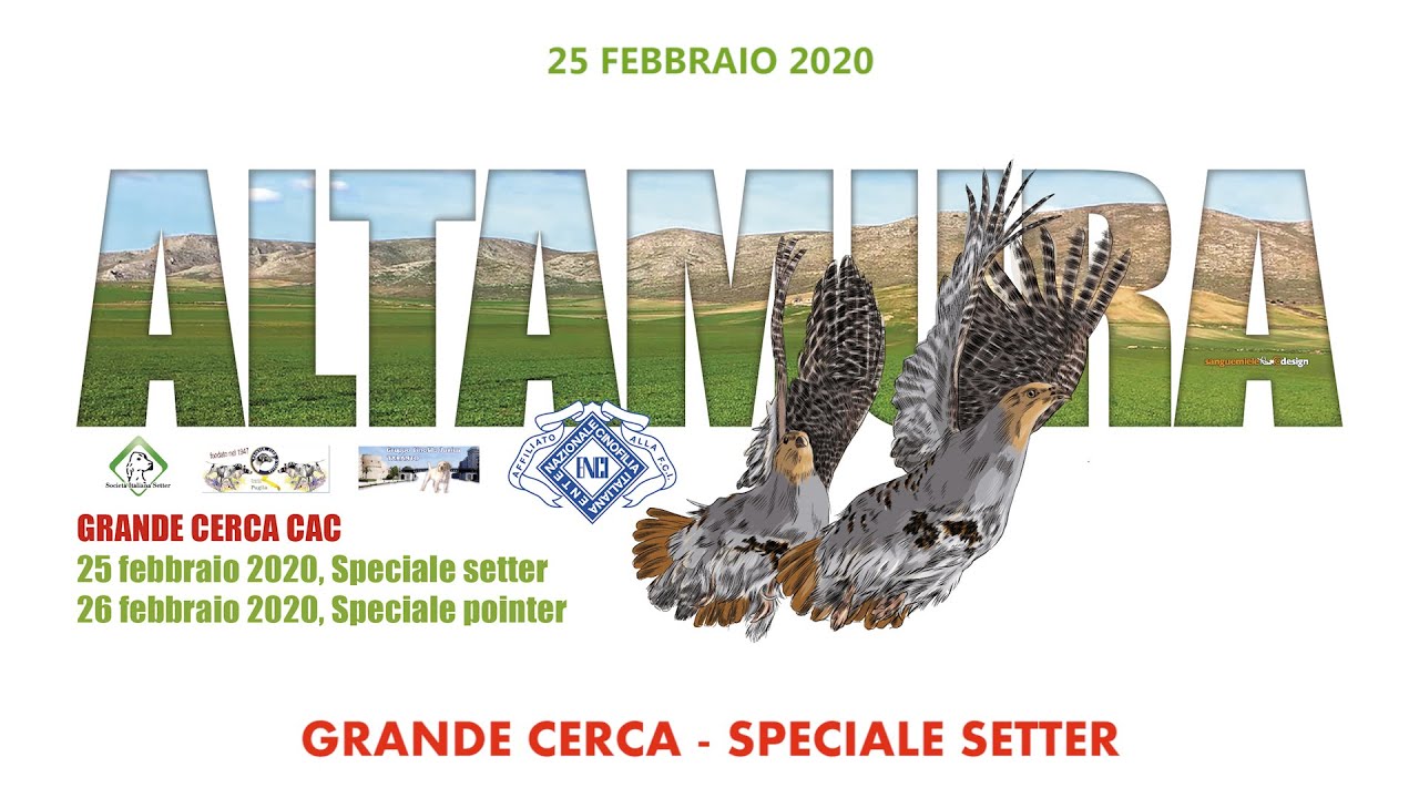 ALTAMURA - 25 FEBBRAIO - GRANDE CERCA - SPECIALE SETTER