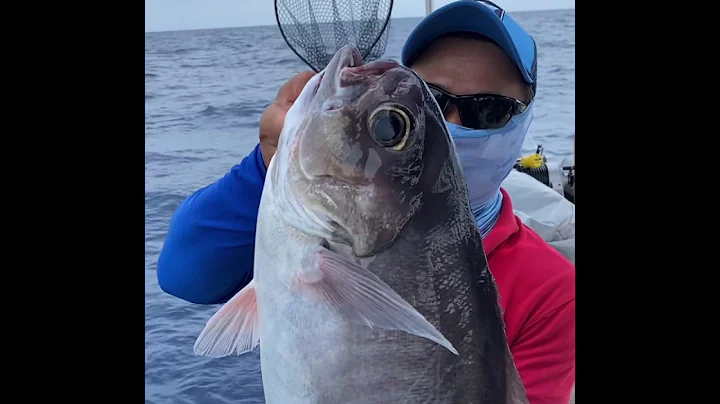 Warsaw grouper. Red snapper. Barrel fish. Yellowfi...