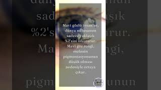 Mavi Gözlü Insanlar