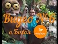 №6! Филиппины. Остров Бохол. Шоколадные холмы и торсиеры. Bohol island, Chocolate hills and tarsiers